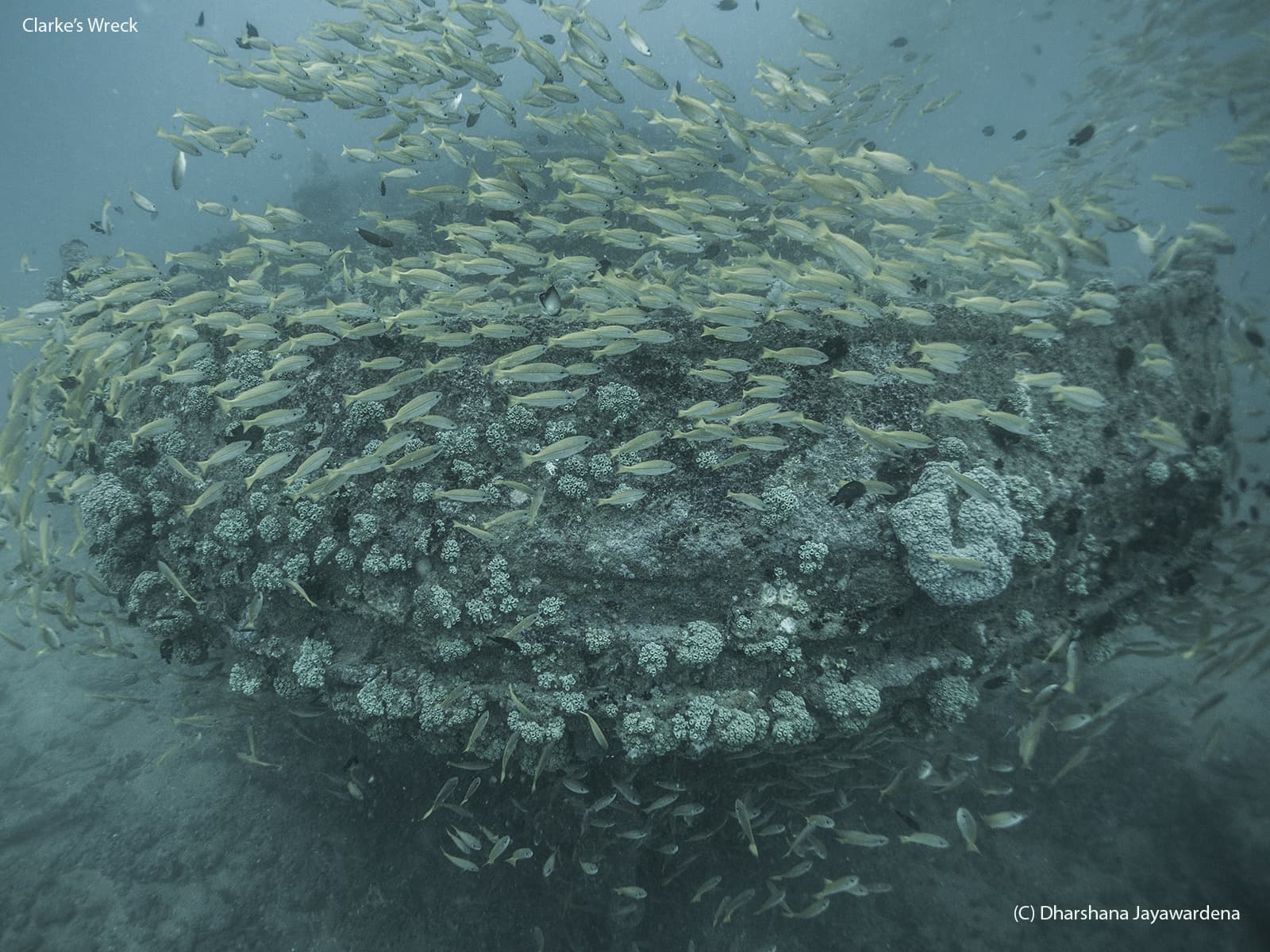 Clarke Wreck