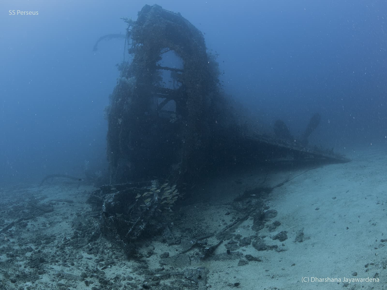 SS Perseus
